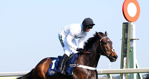 Constitution Hill file photo