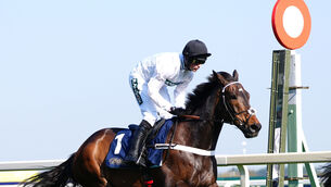 <p>UNCERTAIN TIMES: Constitution Hill remains in the mix for the Unibet Champion Hurdle on the opening day of next month's Cheltenham Festival and Nicky Henderson has been keeping his training routine varied. Picture: David Davies/PA</p> <p>UNCERTAIN TIMES: Constitution Hill remains in the mix for the Unibet Champion Hurdle on the opening day of next month's Cheltenham Festival and Nicky Henderson has been keeping his training routine varied. Picture: David Davies/PA</p>