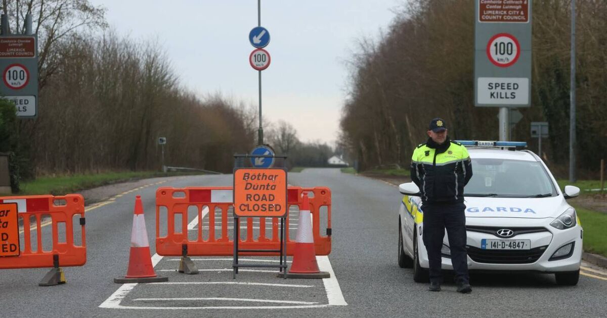 Gardaí are following 'a definite line of inquiry' in relation to the three-car crash after one of the drivers fled the scene
