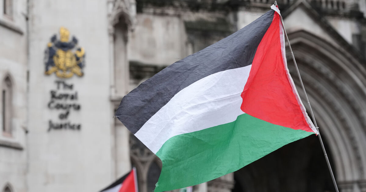Palestine Action cases in England adjourned until appeal concludes, says senior judge