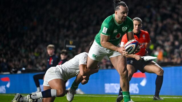 <p>James Lowe scores a try against England in 2024. Pic: David Fitzgerald/Sportsfile</p>