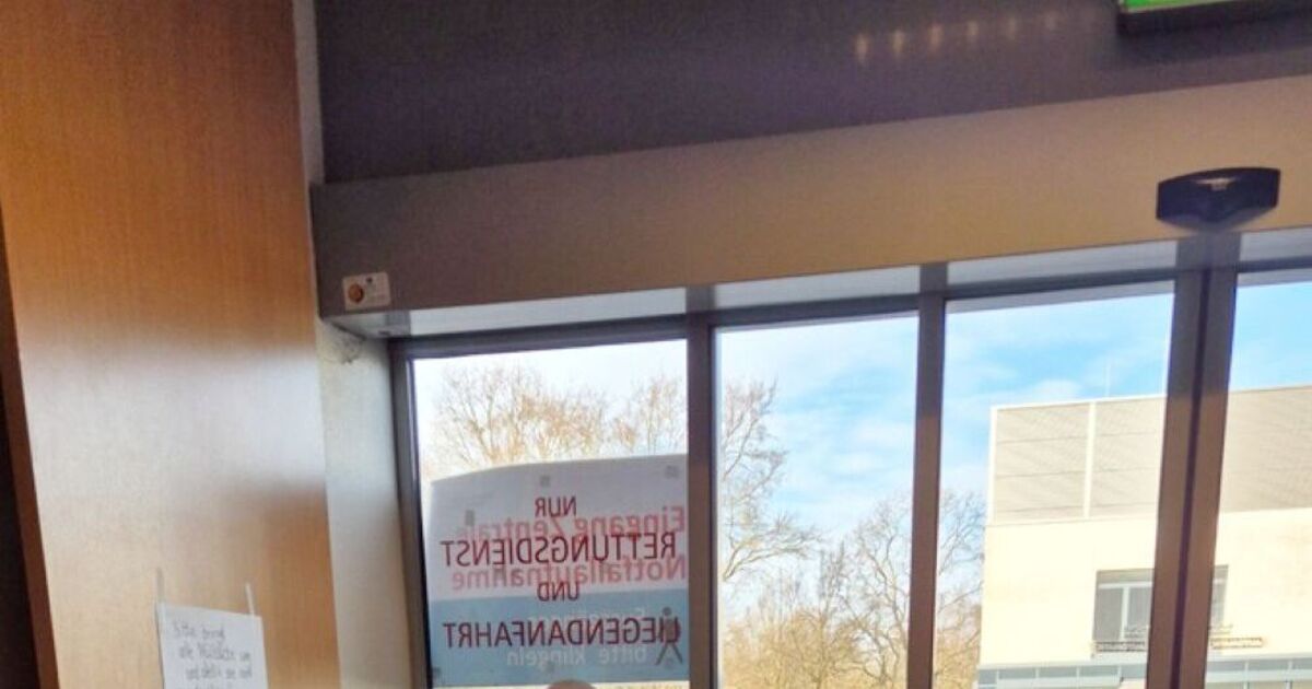 Injured seabird seeks help by pecking at door of German hospital