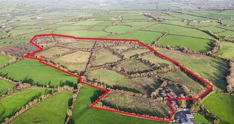 57-acre Kilkenny farm a very tempting auction prospect