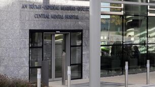 <p>A witness from the Central Mental Hospital appeared by video link at Cork Circuit Criminal Court on Monday to say that they simply did not have a place at this time for the man. File picture: Colin Keegan, Collins Dublin</p>