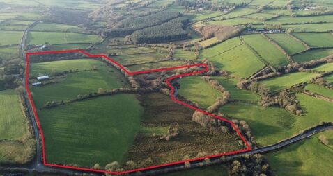 30-acre Cork farm near Kerry border hoping to sell for €280,000