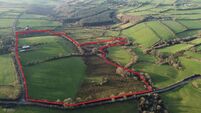 30-acre Cork farm near Kerry border hoping to sell for €280,000