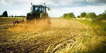 High yields, low returns: A third of tillage farmers in the red