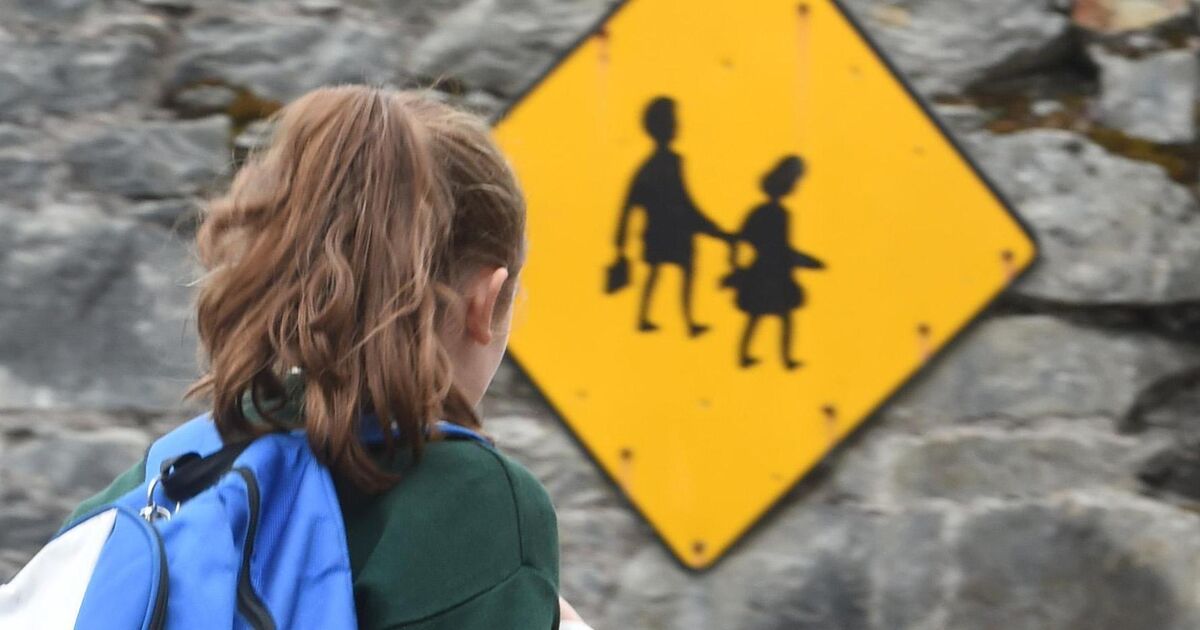 'It’s simply not possible': Cork principal hits out at SNA cuts