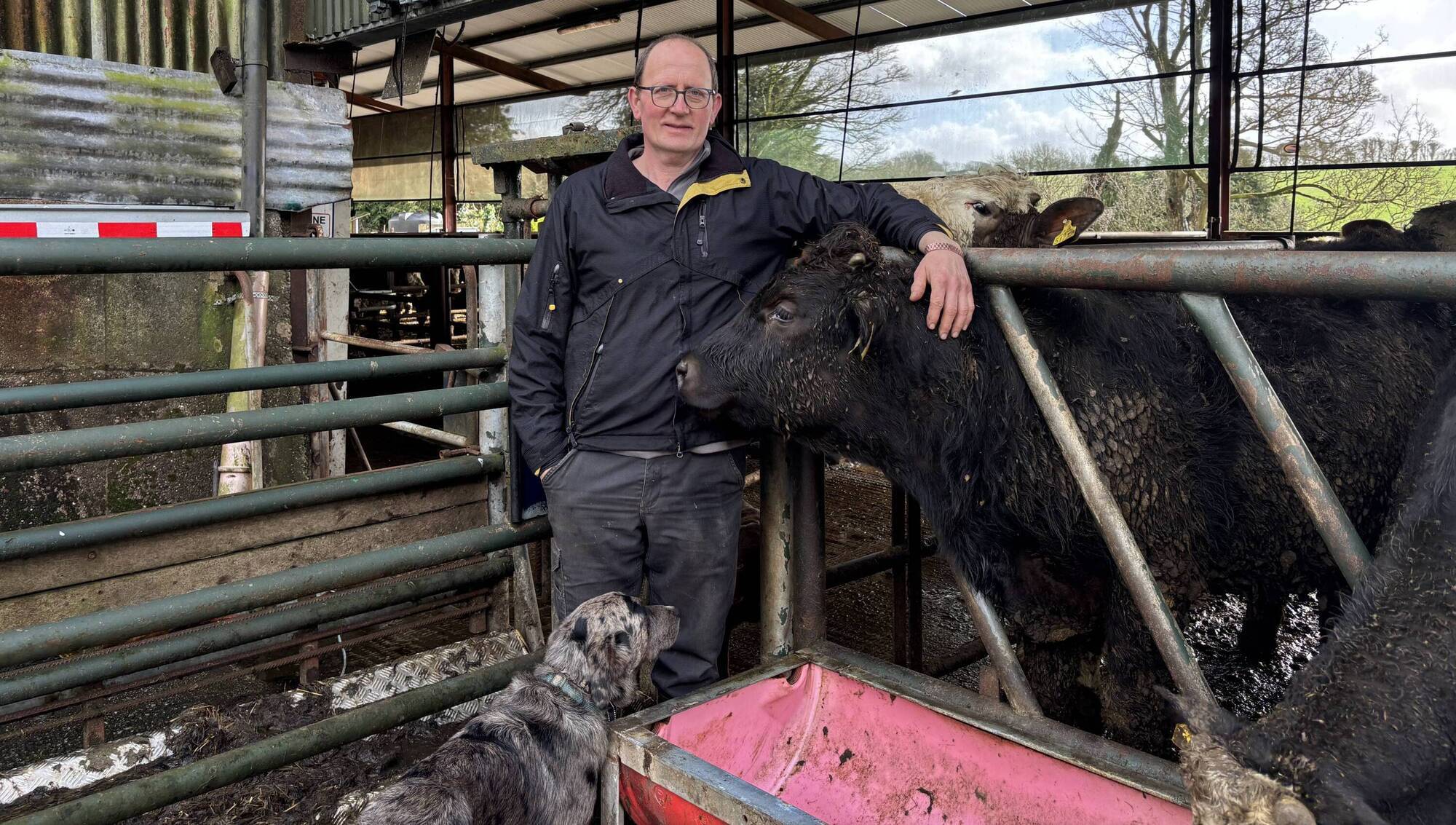 Signpost: From leased out land to a family farm — Denis's journey into dairy-beef