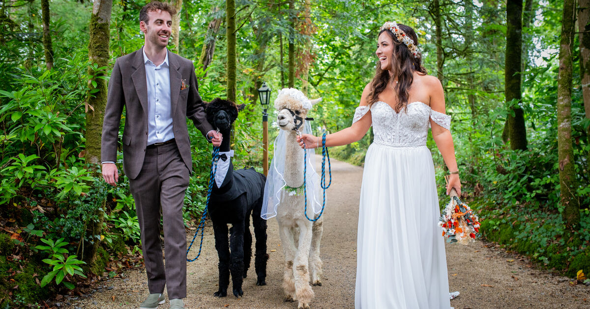 My Wedding Day with Emma O'Hagan: It was very much a community event &mdash; we bartered for a lot of things!