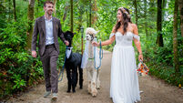 My Wedding Day with Emma O'Hagan: It was very much a community event — we bartered for a lot of things!
