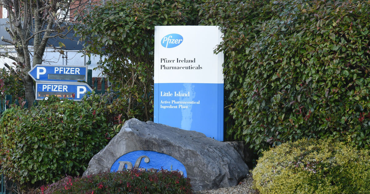 Irish exports hit record highs driven by a near 40% increase in pharmaceuticals 