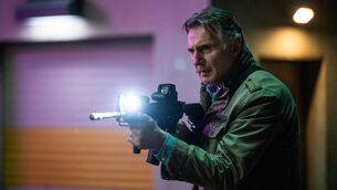 <p>Liam Neeson in Cold Storage: 'I read from page one to the end in one sitting.'</p>