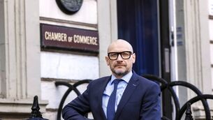 <p>Donnacha Hurley, Chief Executive Officer (CEO) of Limerick Chamber.</p>