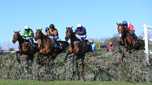 <p>2024 Aintree Grand National winner I Am Maximus, on the far left, is the top weight for this year's race. Pic: Healy Racing</p>