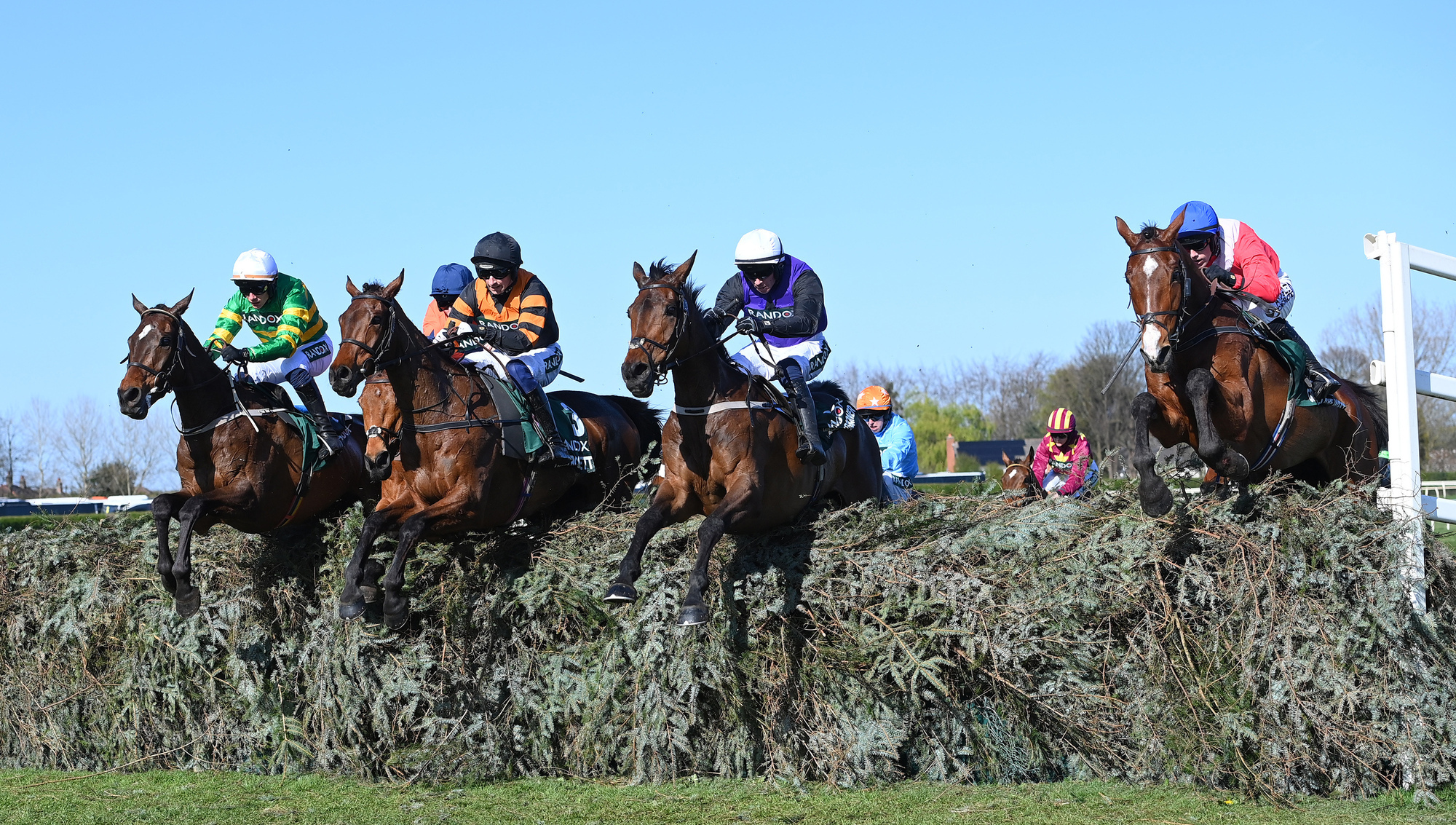 I Am Maximus heads the weights for another Grand National