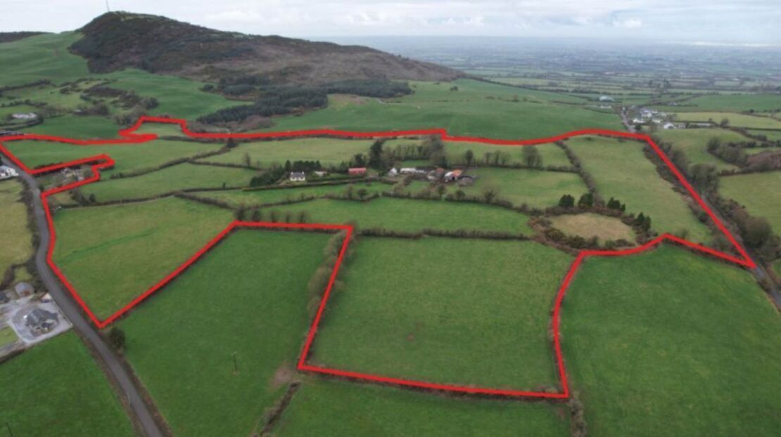 46-acre Limerick lands guiding over €16k/acre at auction