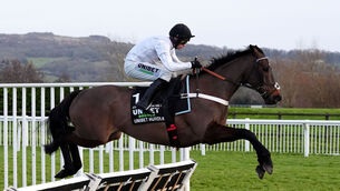 <p>Constitution Hill will go in the £40,000 SBK Road To Cheltenham Novice Stakes at Southwell on Friday. Pic: Bradley Collyer/PA Wire.</p> <p>Constitution Hill will go in the £40,000 SBK Road To Cheltenham Novice Stakes at Southwell on Friday. Pic: Bradley Collyer/PA Wire.</p>