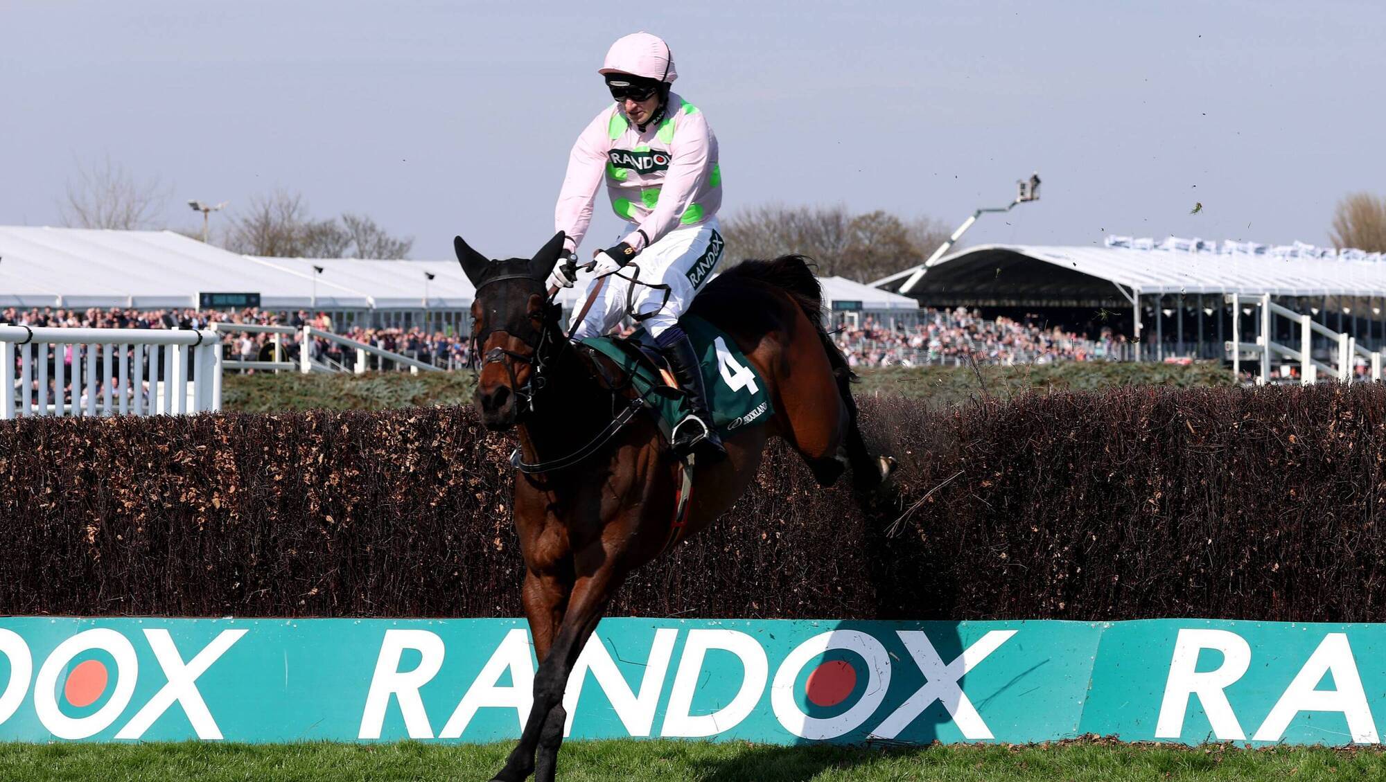 Patrick Mullins hoping for golden moment with Gaelic Warrior at Cheltenham 