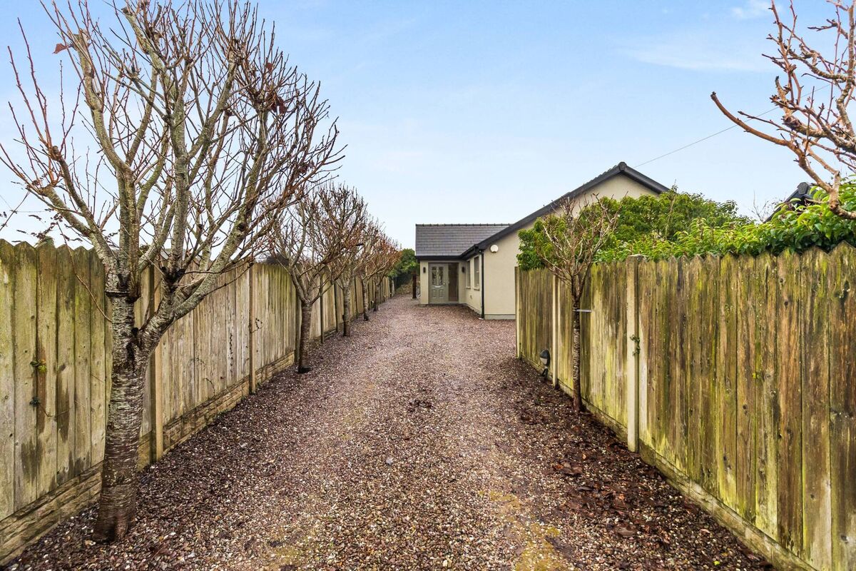 Approach avenue lined with prunus or cherry blossom trees