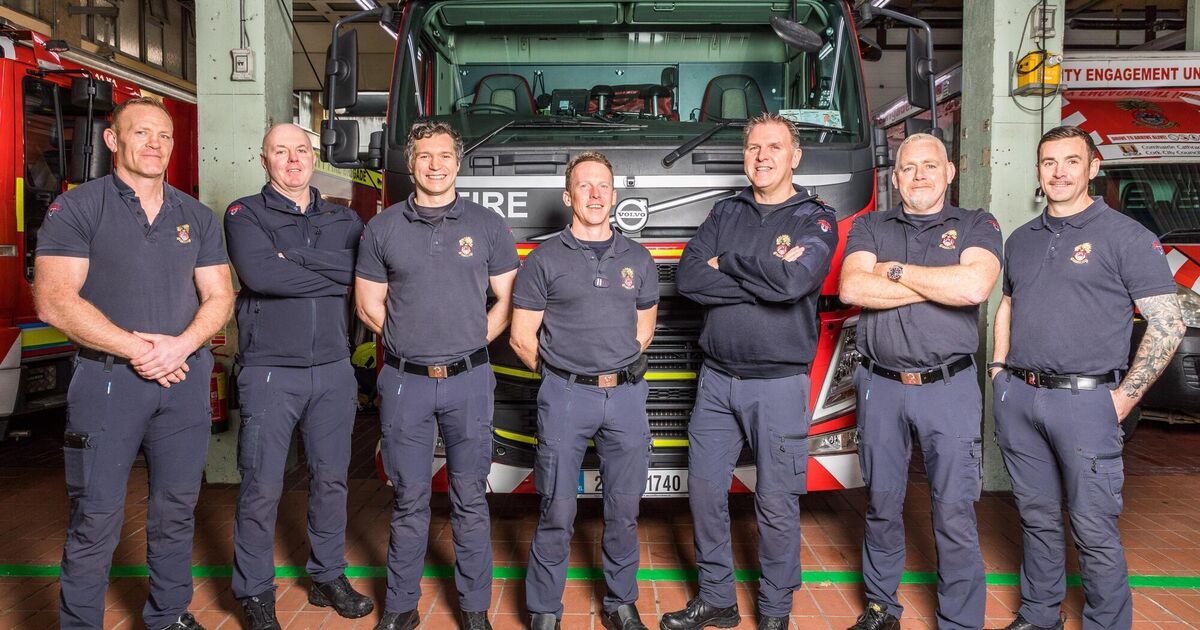 Cows in the River Lee: Cork City Fire Brigade recount dramatic four-hour rescue