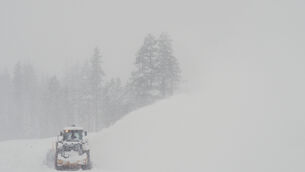 Eight skiers have been found dead, six have survived and one is still missing following an avalanche in California (Brooke Hess-Homeier/AP) Eight skiers have been found dead, six have survived and one is still missing following an avalanche in California (Brooke Hess-Homeier/AP)