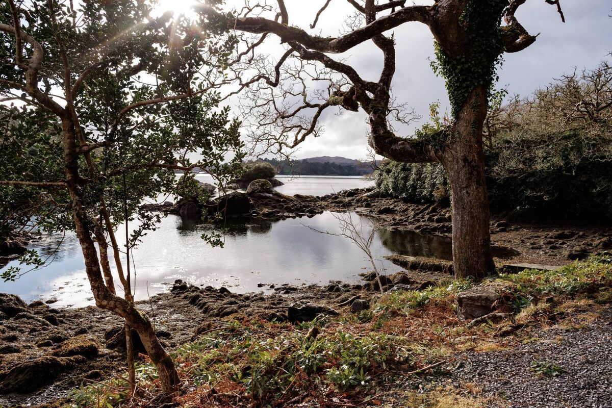 Dromgarriff, Co. Cork. Photo: Bríd O'Donovan.