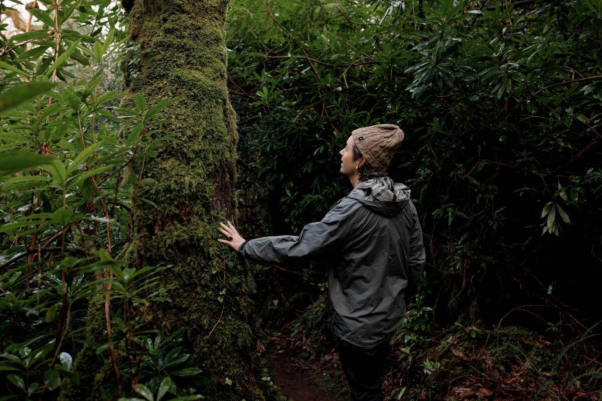 Bryan Meehan at Dromgarriff, Co. Cork. Photo: Bríd O'Donovan.