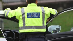 <p>Gardaí have appealed for witnesses. Picture: Dan Linehan.</p>