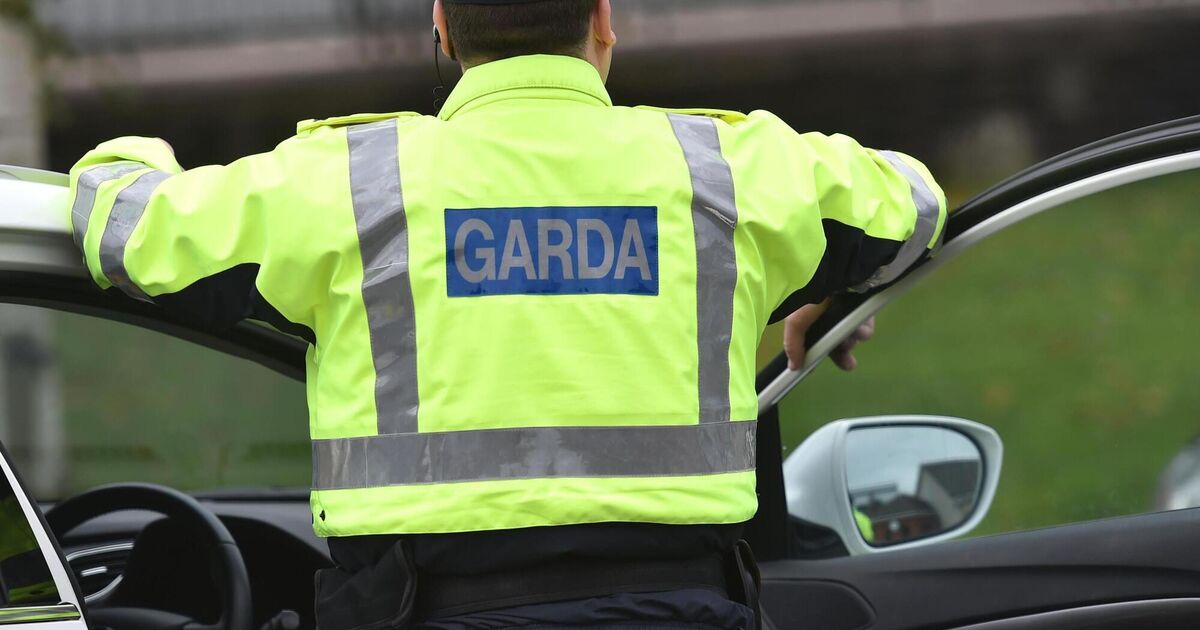 Man seriously injured in alleged assault in Dublin