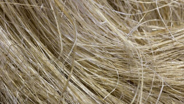 <p>Mr Heydon said the previous programme for government included a commitment to fully explore fibre crops such as hemp and consider whether these crops have a viable market.</p>