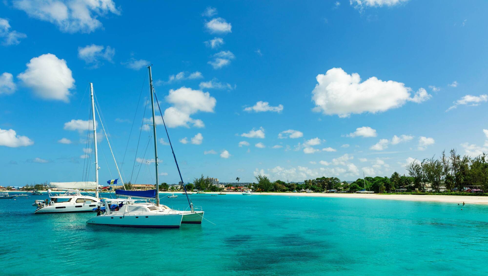 Departure Lounge: Caribbean delight and Calais cuisine await
