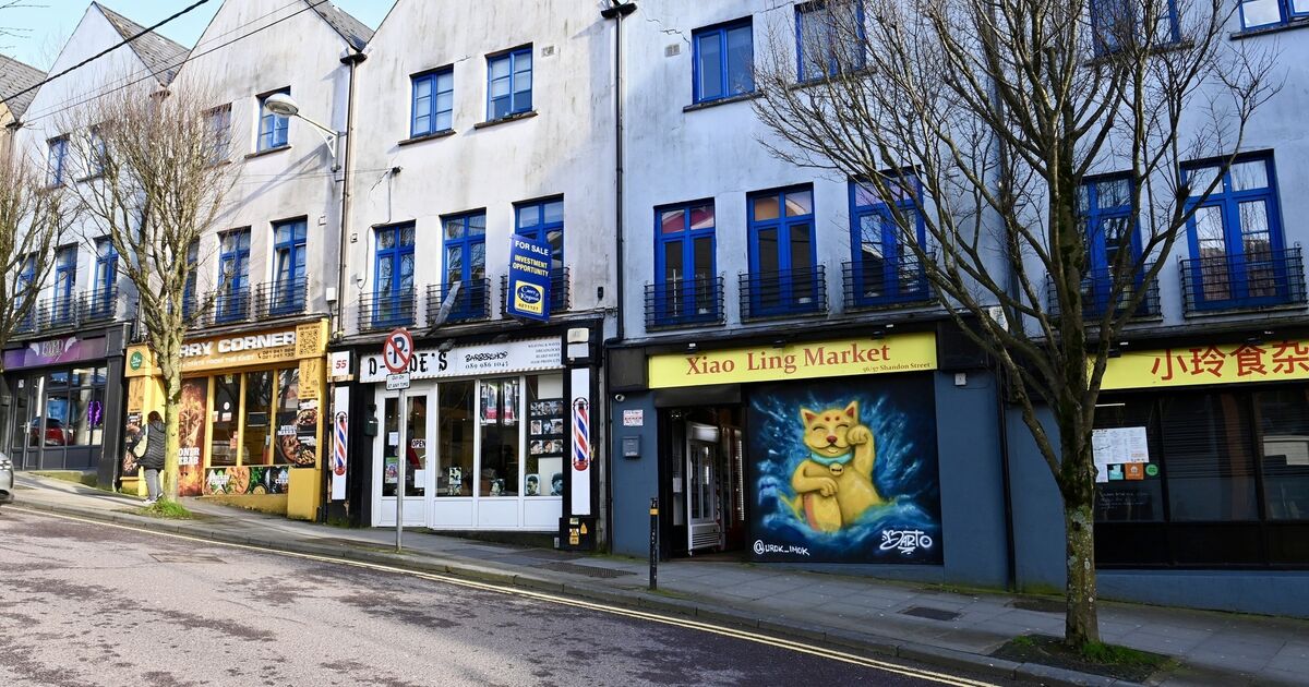 Future Cork: Our city stretches out a hand of friendship to all &mdash; C&oacute;nal Creedon