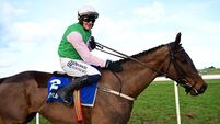 Bon Viveur earns surprise win as Mullins and Townend enjoy Thurles double