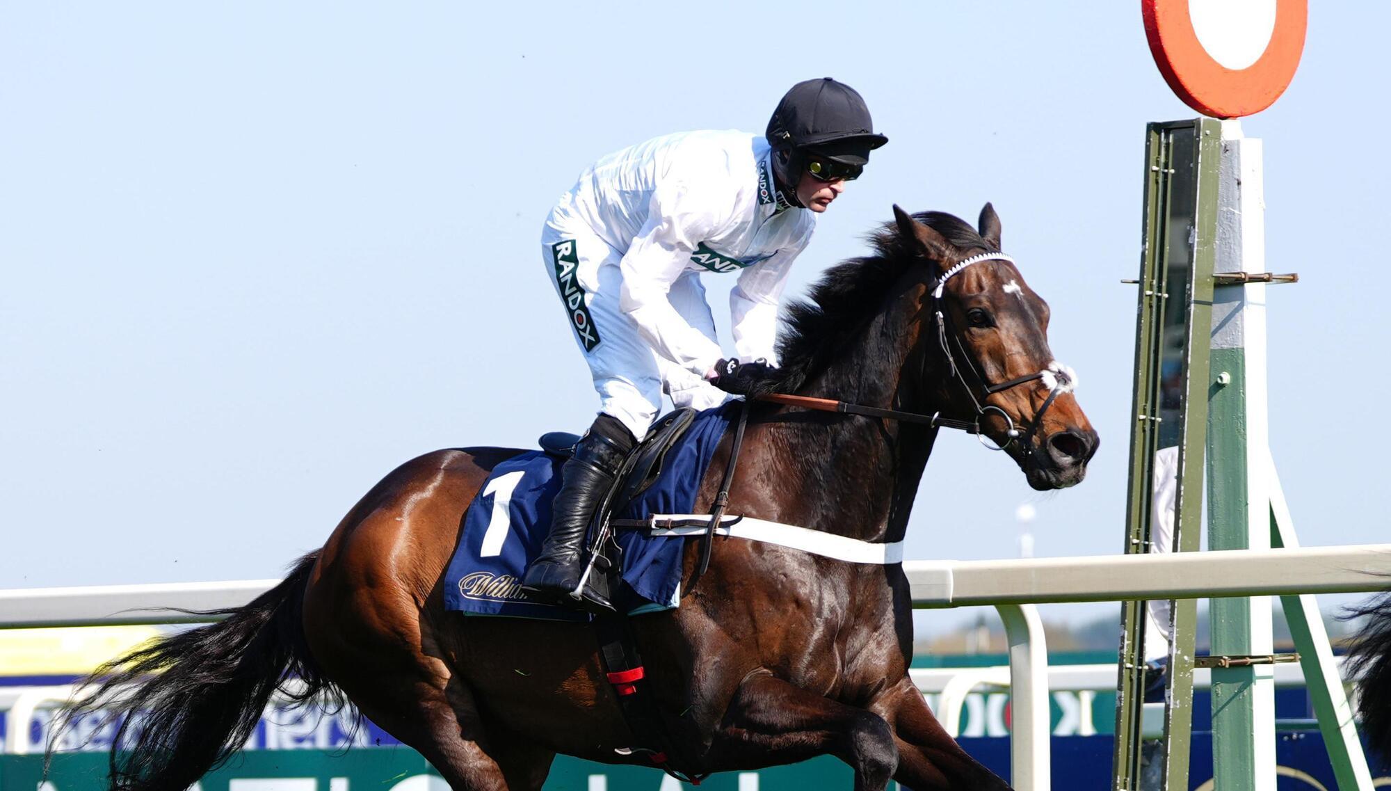 Southwell takes centre stage as Constitution Hill returns