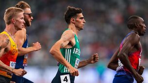 <p>Ireland’s Andrew Coscoran has broken the Irish indoor record. Pic: Morgan Treacy/Inpho</p>