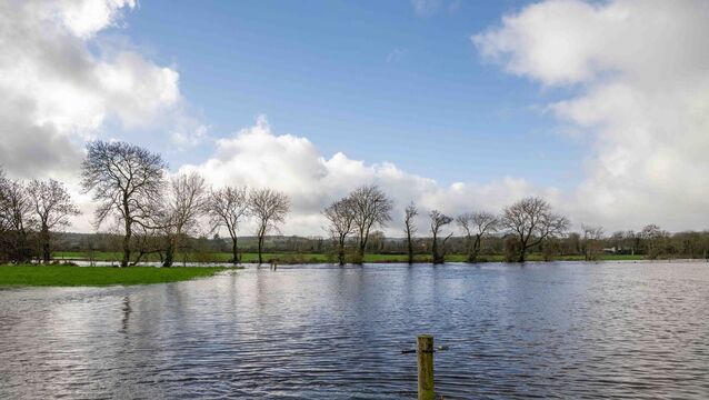 <p>'Today the plains are flooded, the fields are lakes, the sky is grey, and a clouded mist sticks to you like depression.' Picture: Andy Gibson</p>