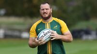 South Africa Springboks Media Access
