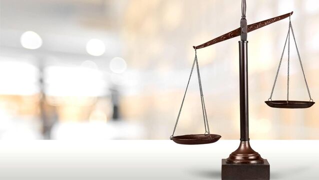 <p>A total of 275 cases involving international protection have been decided during the past three years.</p>