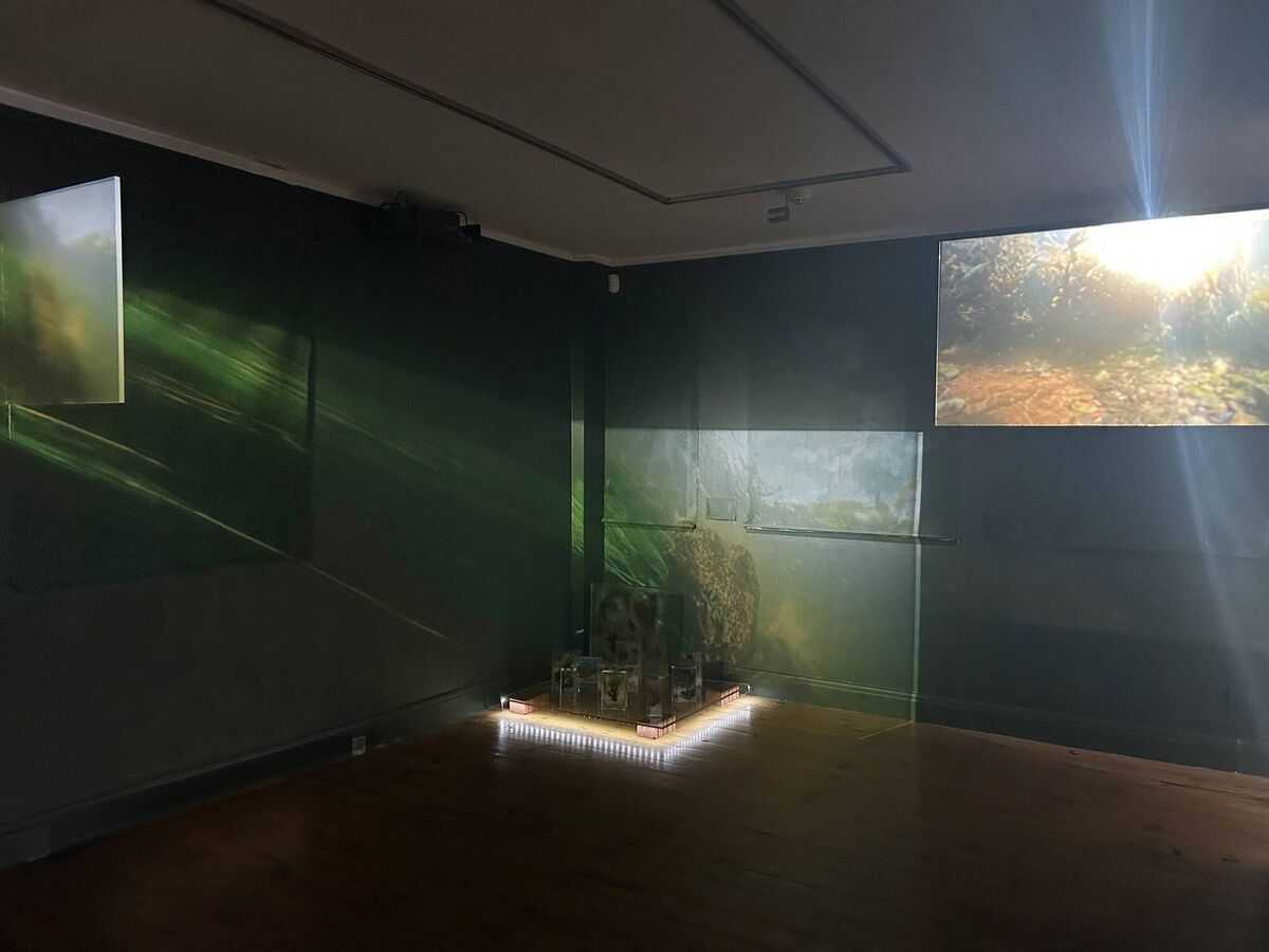 Part of the installation by Barbara Diener at Uillinn in Skibbereen. 