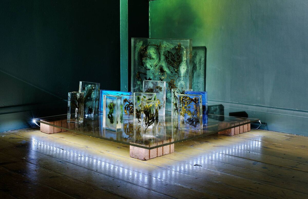 Another one of Barbara Diener's pieces at the exhibition. 