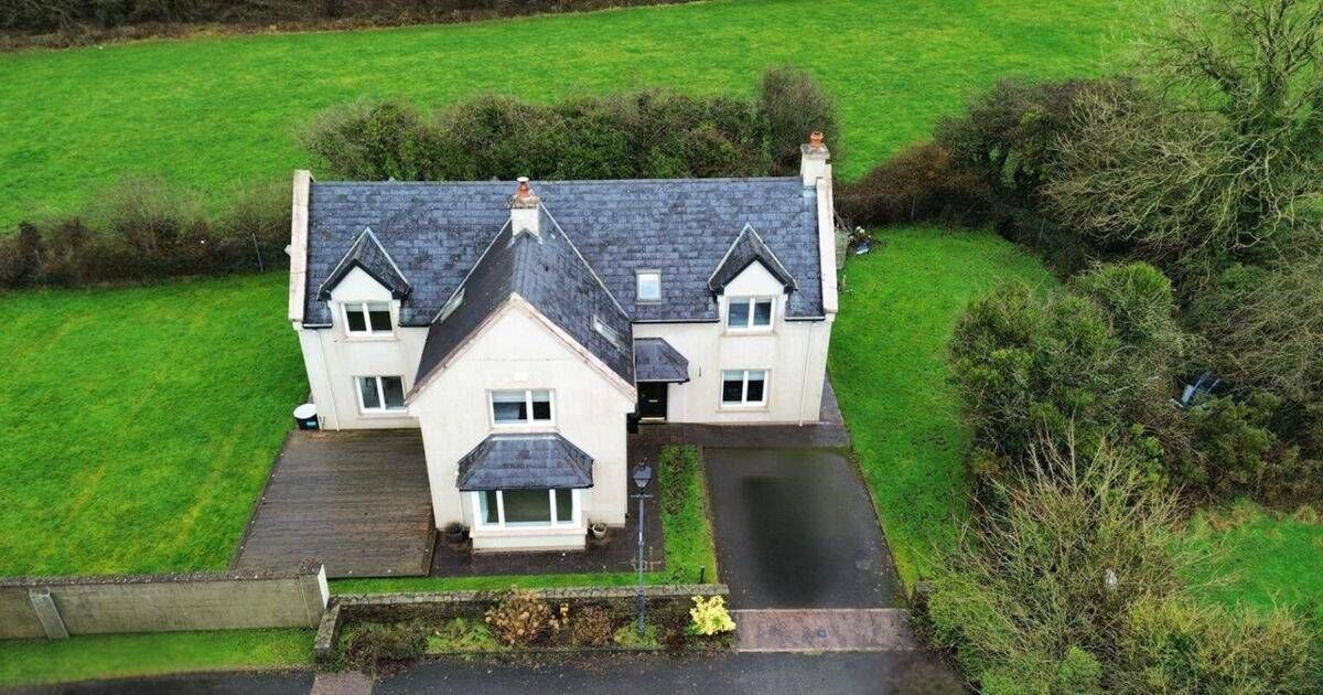 Former Ireland footballer Colin Healy selling spacious Rylane home for €495k