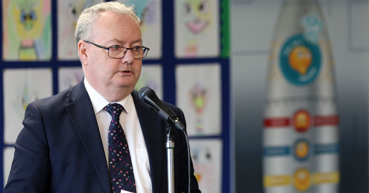 SNA cuts: Why Irish schools say special education support is being undermined