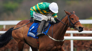 <p>CLASS ACT: Narciso Has oozed class on his most recent outing at the Dublin Racing Festival when beating stablemate Selma De Vary. 	Picture: Tom Maher/Inpho</p>