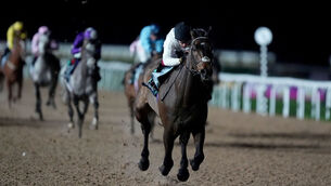 <p>Constitution Hill ridden by Oisin Murphy on the way to winning the the SBK Road To Cheltenham Novice Stakes at Southwell Racecourse. Pic: Mike Egerton/PA Wire.</p>