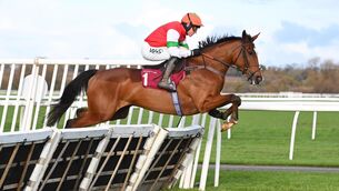 <p>RISING SUN: Idaho Sun will represent Harry Fry in the Sky Bet Supreme Novices’ Hurdle at the Cheltenham Festival. <span class="contextmenu emphasis CaptionCredit">Picture: Healy Racing</span>
            </p>