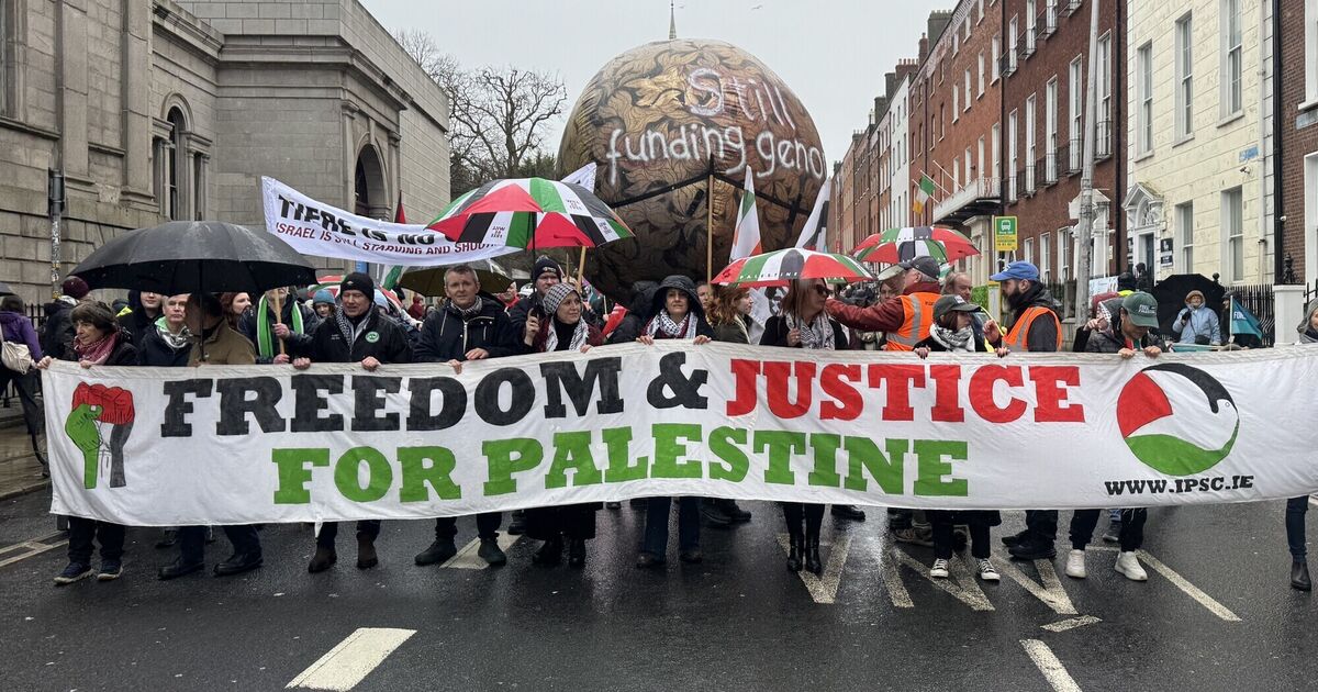 Thousands march through Dublin in rally for Palestine