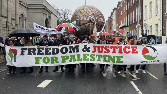 <p>Thousands demonstrated on the streets of Dublin as part of the National March for Palestine (Bairbre Holmes/PA)</p>