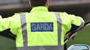 <p>Gardaí are appealing for witnesses to come forward. Picture: Dan Linehan</p>