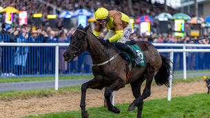 <p>SEEKING GOLD: Galopin Des Champs may have seen his dominance in the staying division ended of late, without a victory in two outings so far this season, but he remains at single figures to become just the second horse after Kauto Star to regain his Gold Cup crown. Picture: Morgan Treacy/Inpho</p> <p>SEEKING GOLD: Galopin Des Champs may have seen his dominance in the staying division ended of late, without a victory in two outings so far this season, but he remains at single figures to become just the second horse after Kauto Star to regain his Gold Cup crown. Picture: Morgan Treacy/Inpho</p>